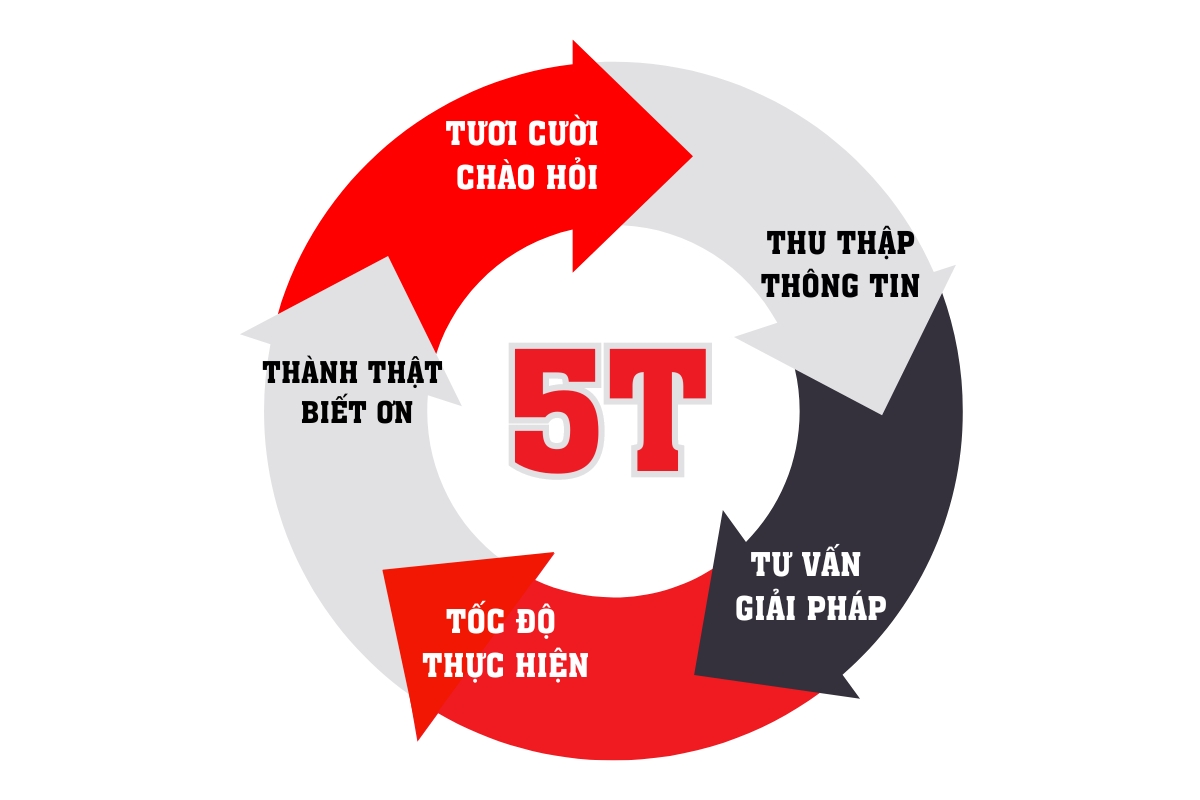 Quy trình làm việc 5T